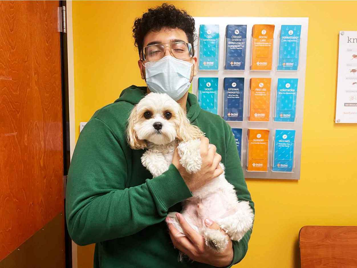 Un asociado sosteniendo a un perro en Banfield Pet Hospital