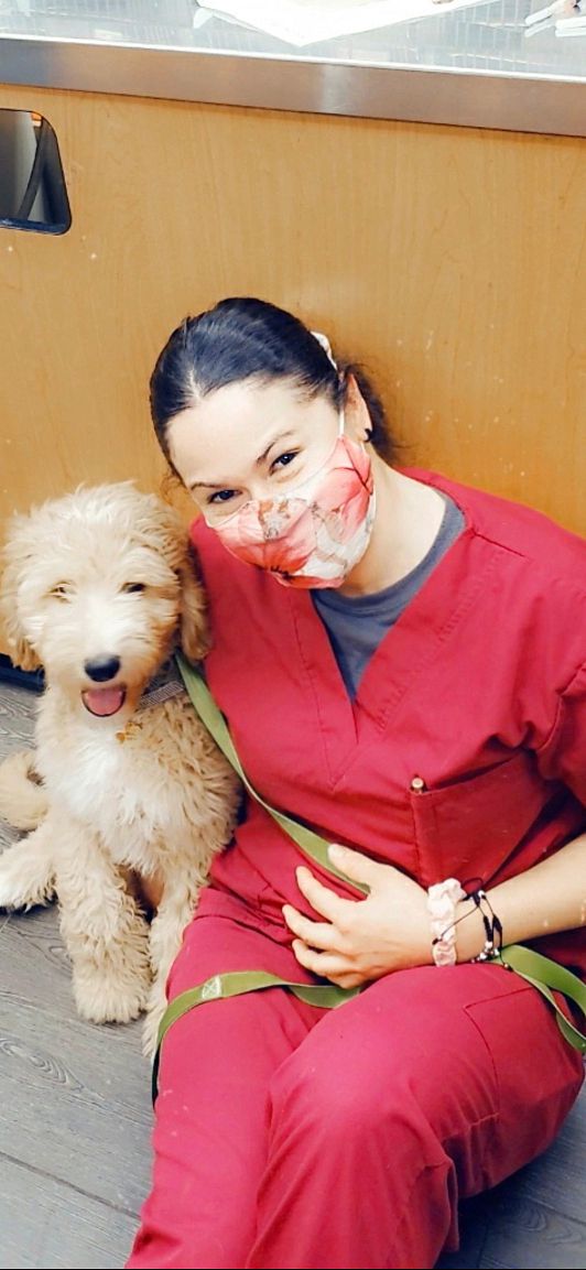 Una joven asociada sentada junto a un perro en Banfield Pet Hospital