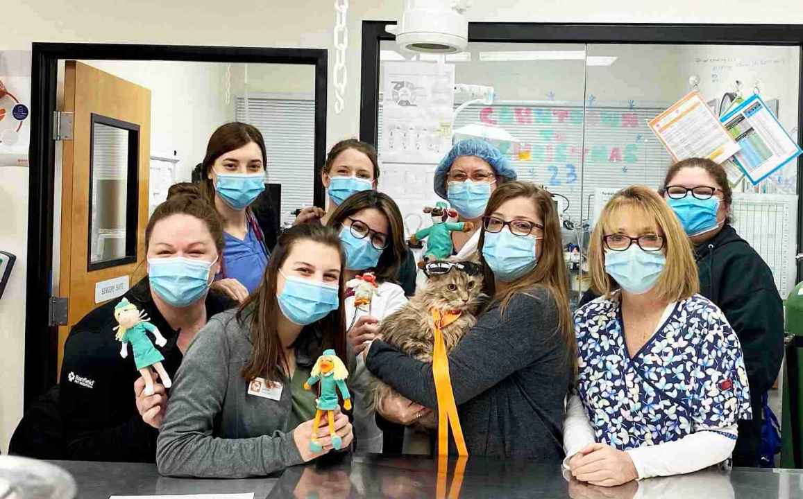 Grupo de asociados Banfield sosteniendo a un gato y juguetes en Banfield Pet Hospital