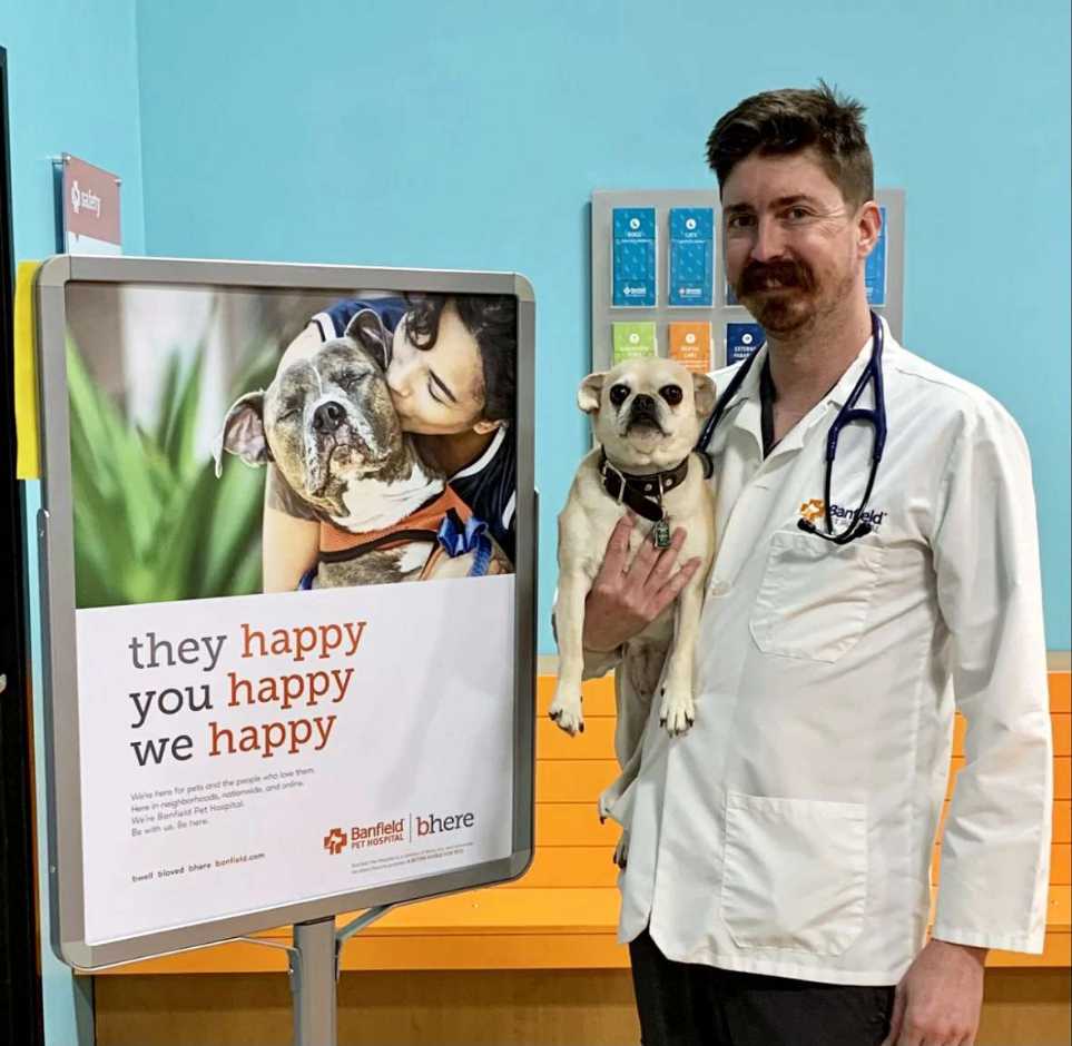 Un veterinario sosteniendo a un perro en Banfield Pet Hospital