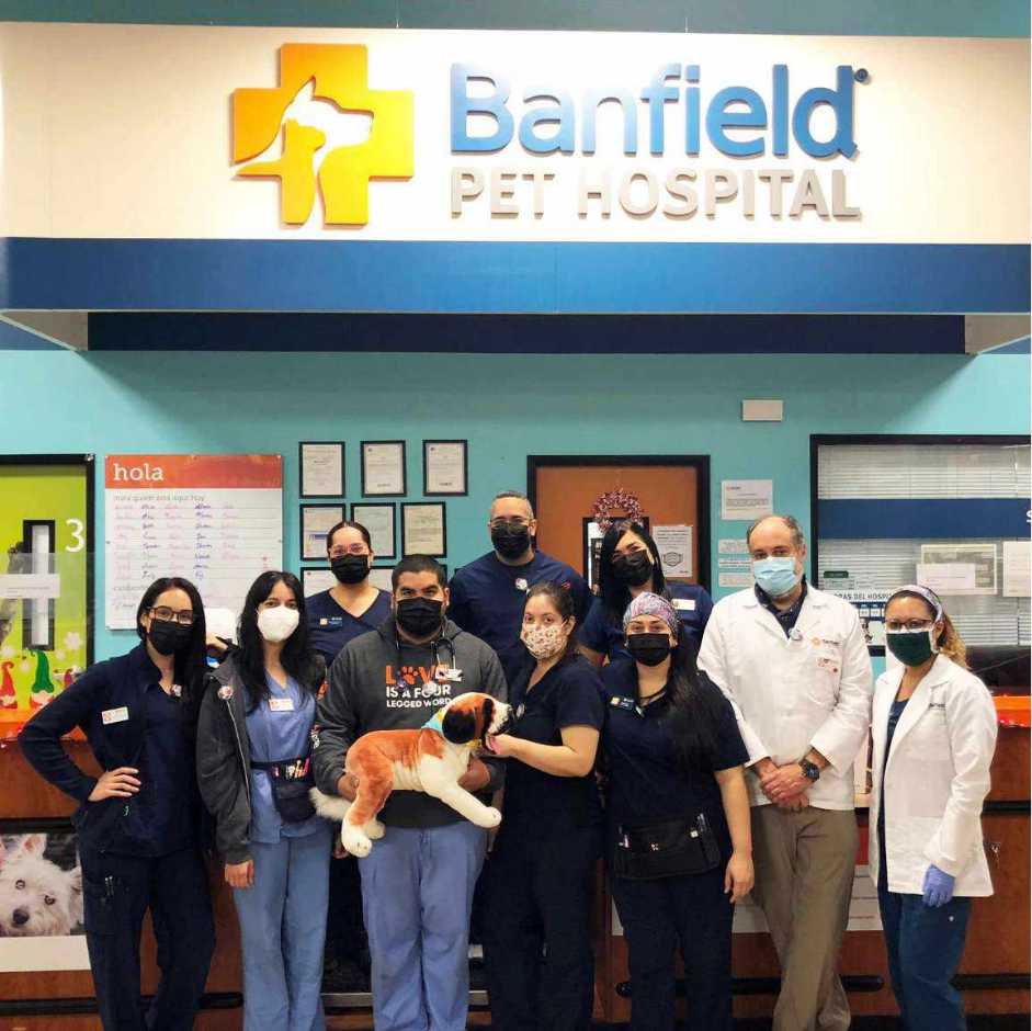 Grupo de asociados Banfield en el Banfield Pet Hospital de Plaza Río Hondo Bayamon, Puerto Rico