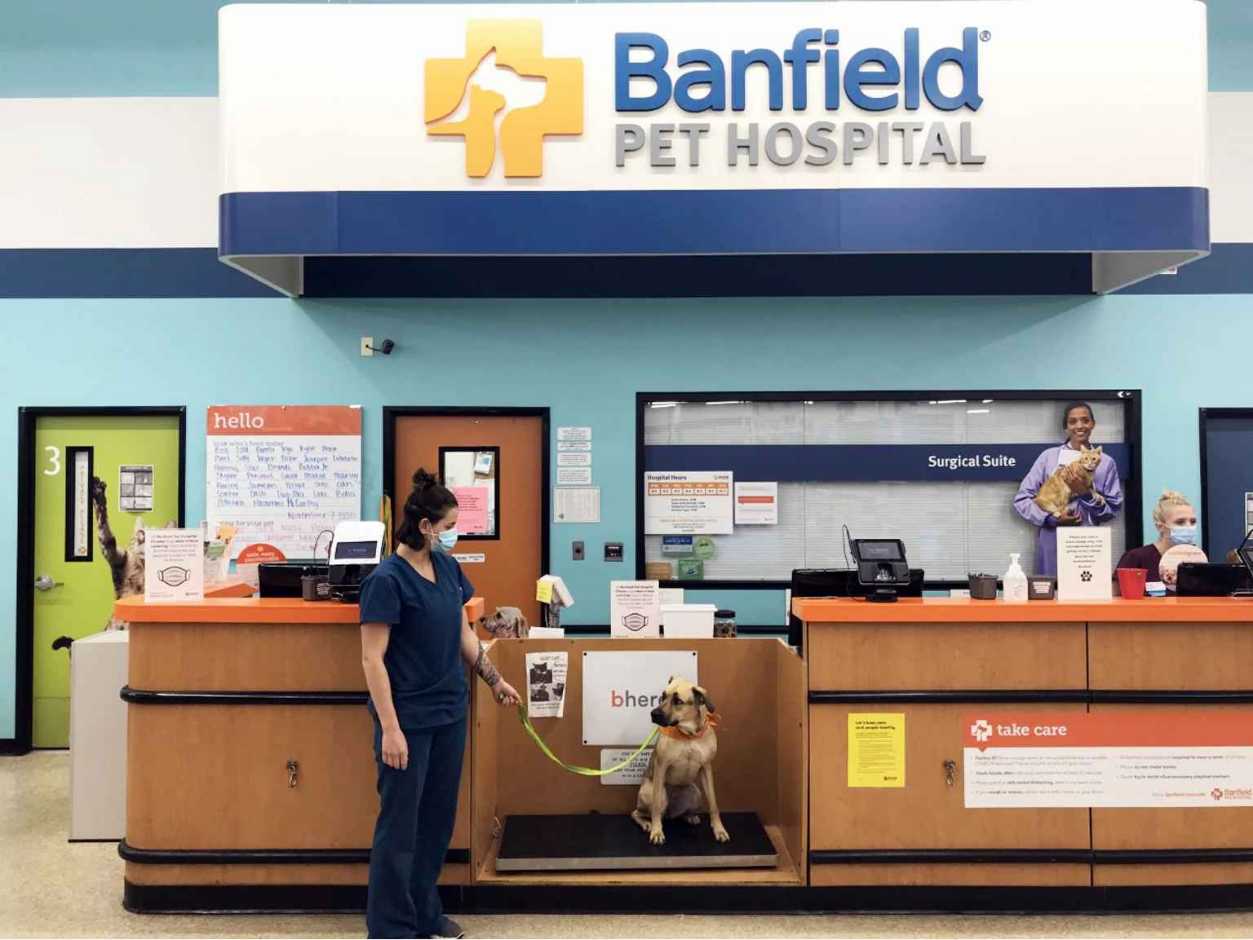 La recepción del Banfield Pet Hospital de Citadel, Carolina del Sur