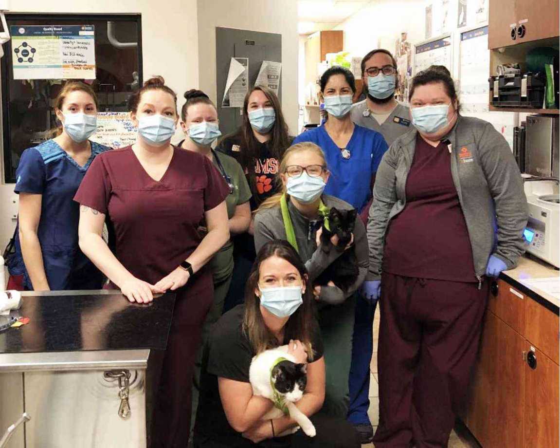 Grupo de asociados Banfield en el Banfield Pet Hospital de Greenville, Carolina del Sur