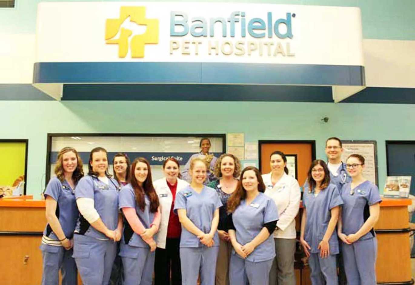 Un grupo de asociados Banfield en el centro Banfield Pet Hospital de Alcoa, Tennessee