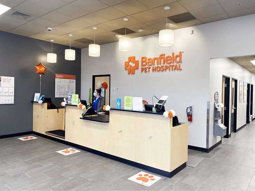 La recepción del Banfield Pet Hospital de Memphis-Winchester, Tennessee