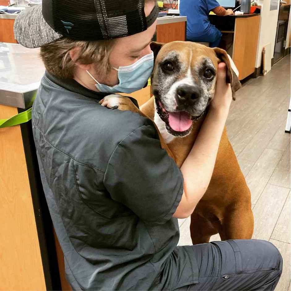 Asociado sosteniendo a un perro en el Banfield Pet Hospital de Austin S, Texas
