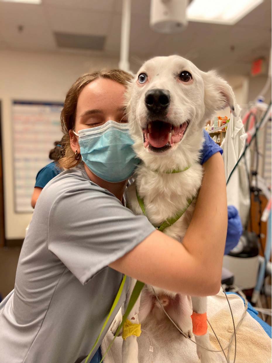 Asociada abrazando a Odín, el perro, en el Banfield Pet Hospital de Austin S, Texas