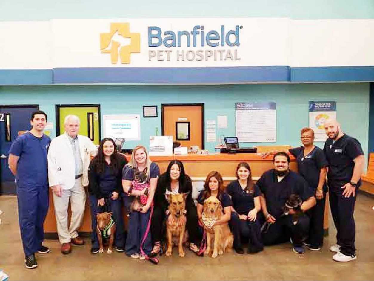 Grupo de asociados sosteniendo perros en el Banfield Pet Hospital de Houston E, Texas