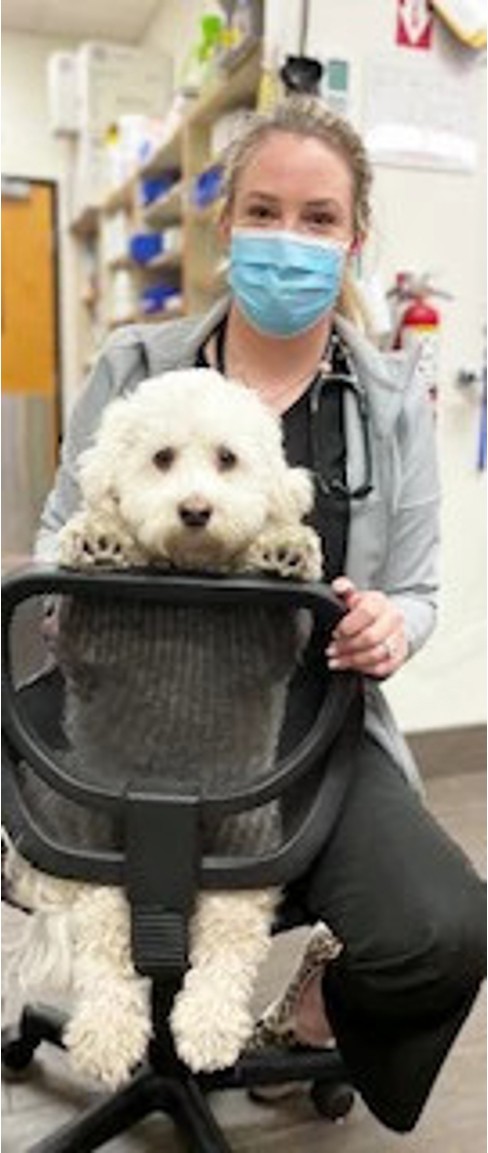 A Banfield Associate and a small white dog sitting together in a chair