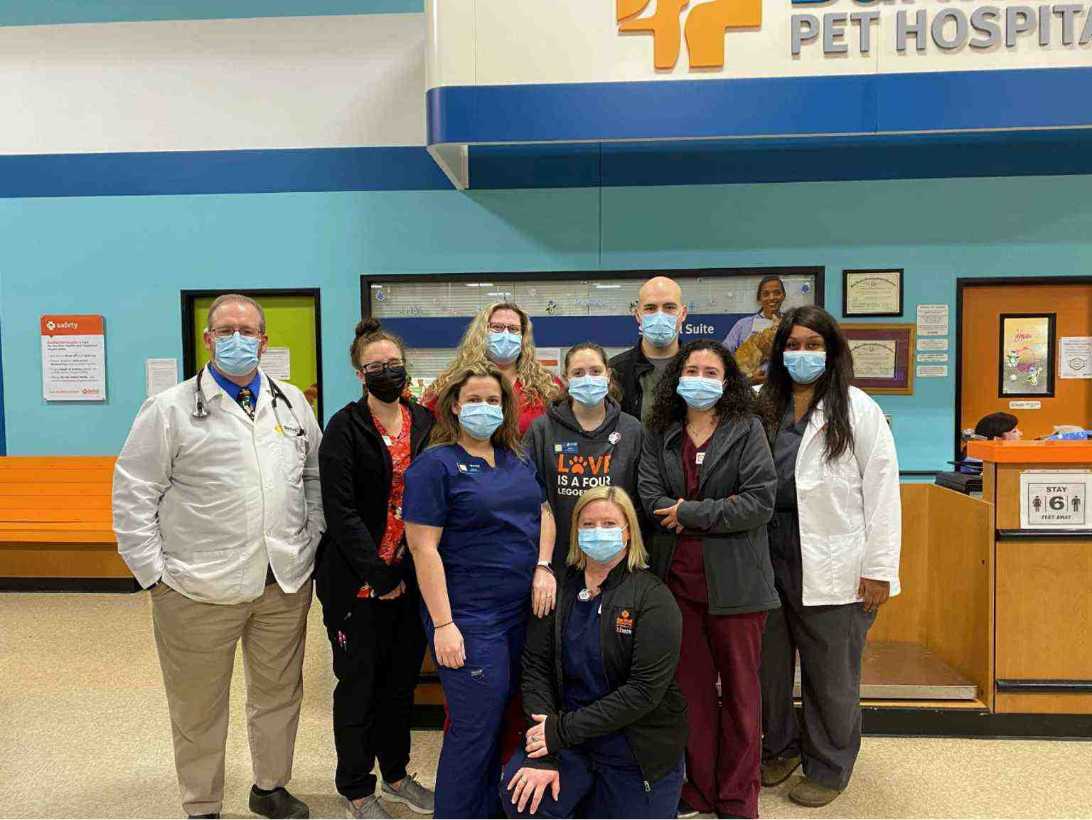 Grupo de asociados del Banfield Pet Hospital de Rockwall, Texas