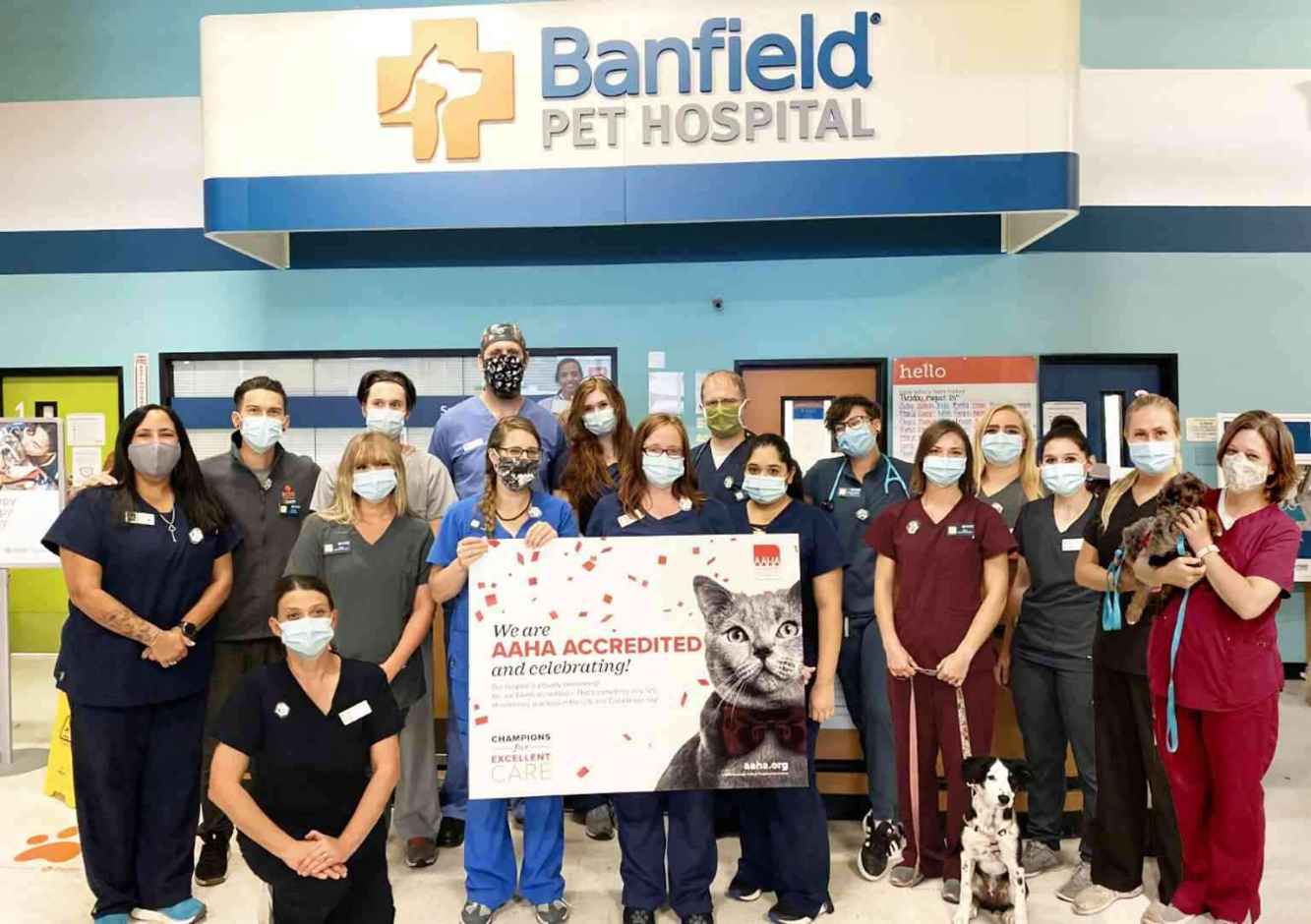 Un grupo de asociados en el centro Banfield Pet Hospital de American Fork, Utah