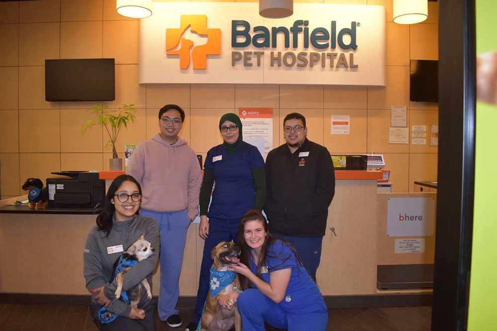 Un grupo de asociados en Banfield Pet Hospital