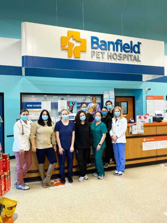 Un grupo de asociados en Banfield Pet Hospital