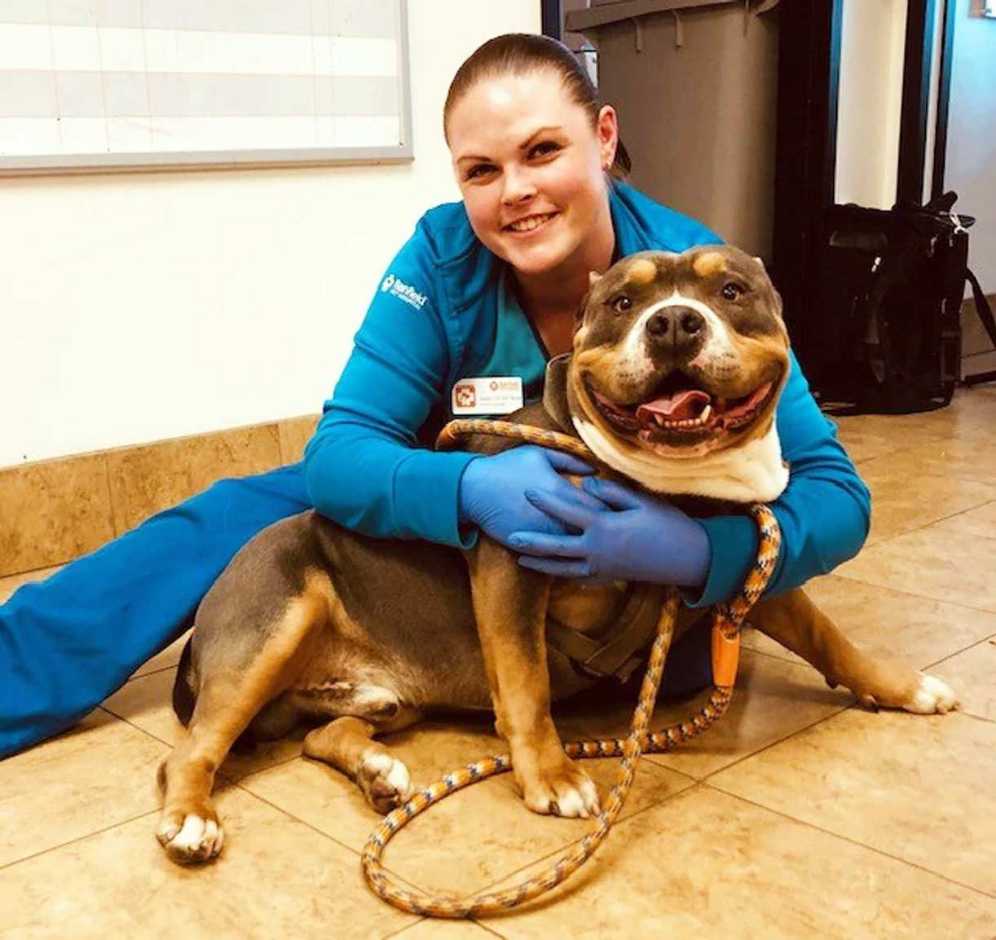 Una joven veterinaria abrazando a un perro marrón en Banfield Pet Hospital